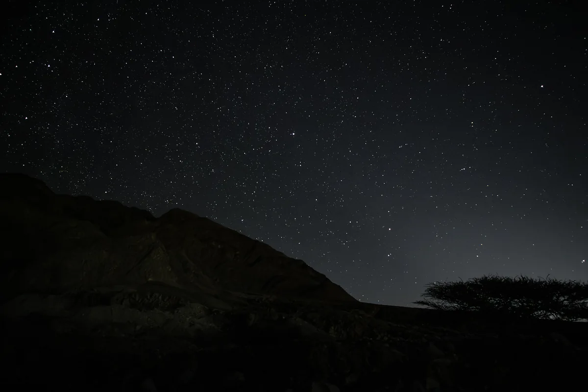 Mountain and acacia tree silhouette under stars