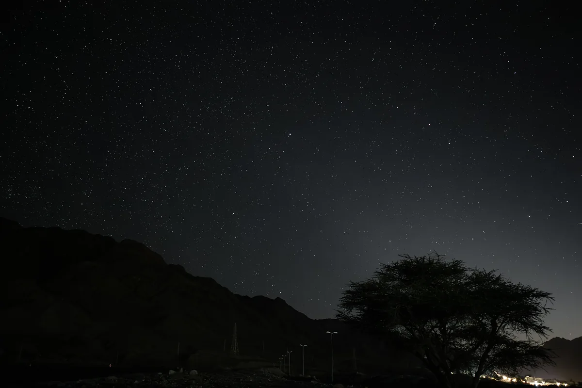 Acacia tree silhouette with starry sky