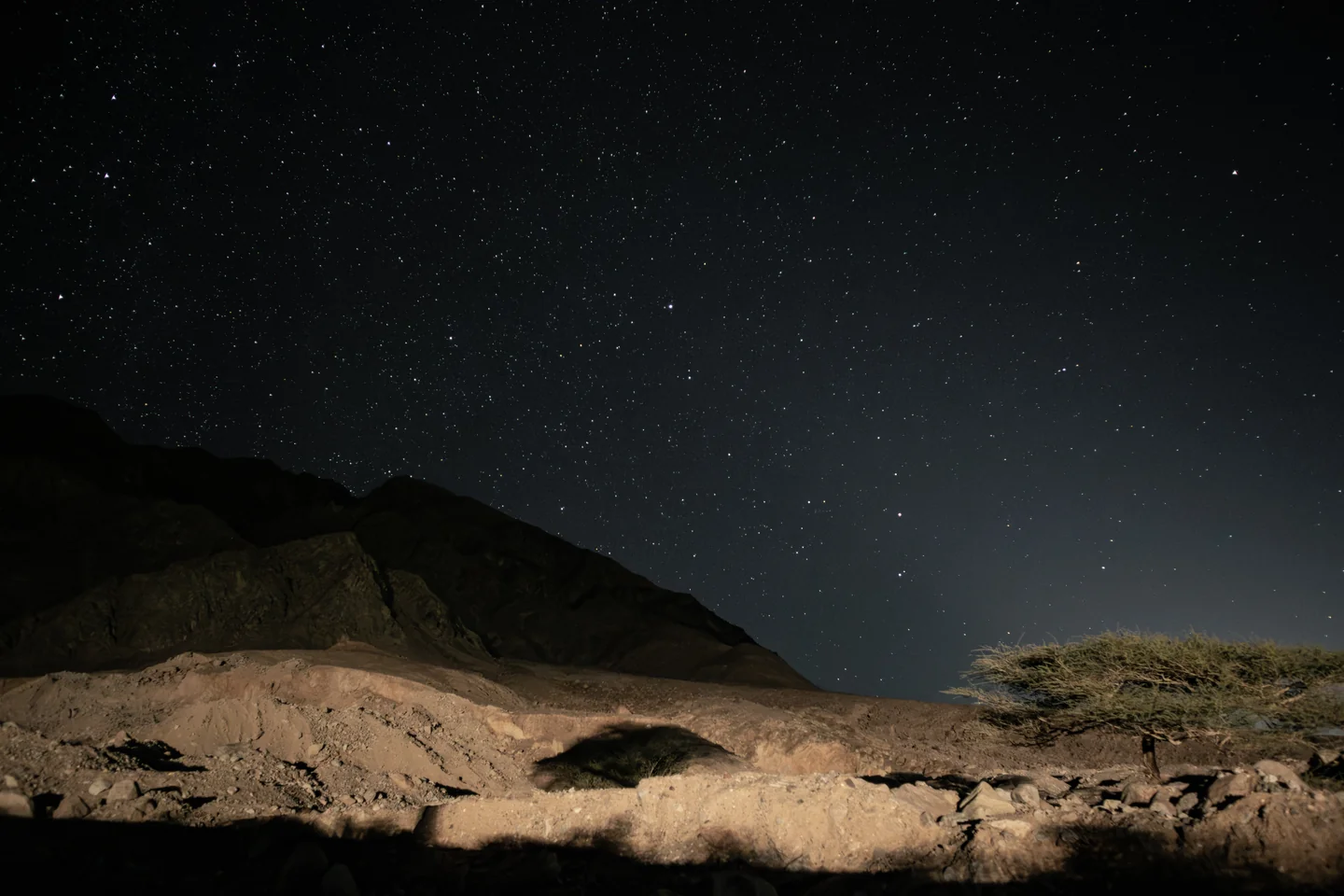 From the Vega trip
