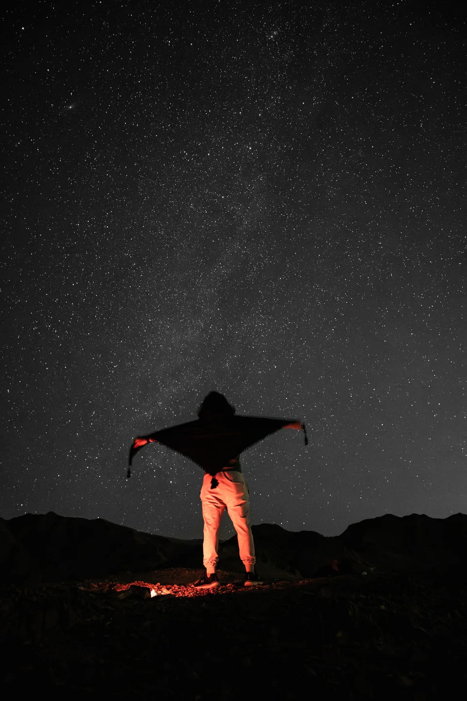 From the Zenith trip